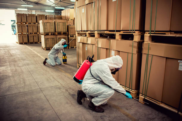 Best Termite Control Services  in West Chatham, MA