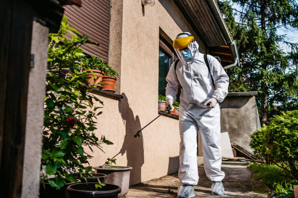 Best Pest Control Near Me in West Chatham, MA