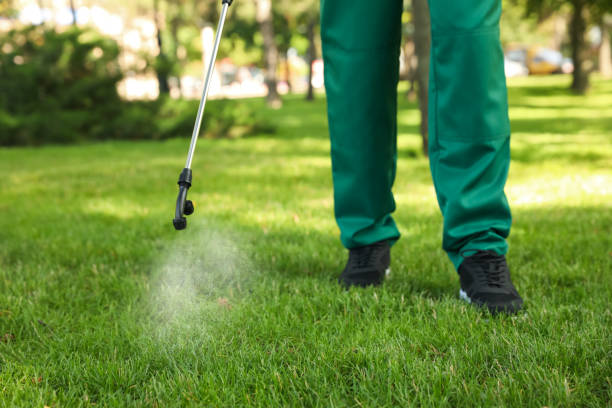Best Wasp Removal Services  in West Chatham, MA