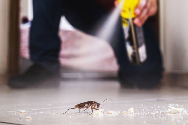 Best Wildlife Control Services  in West Chatham, MA