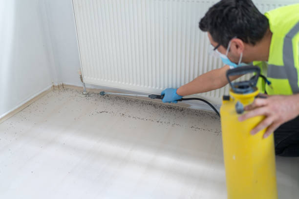 Best Commercial Pest Control Services  in West Chatham, MA