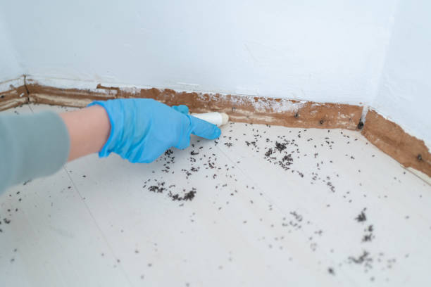 Pest Control for Restaurants in West Chatham, MA